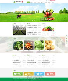 南昌企業(yè)建站需要多少錢 南昌企業(yè)制作做個網(wǎng)站要多 南昌網(wǎng)站制作